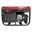 Бензиновый электрогенератор Walter Stahl PR8500W 3-фазный 3 кВт