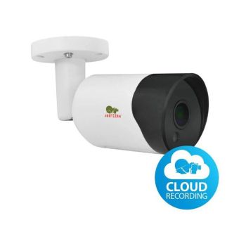 IP видеокамера Partizan IPO-2SP SE  v4.2 Cloud
