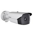 IP камера Hikvision DS-2TD2136-25