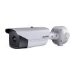 IP камера Hikvision DS-2TD2136-25