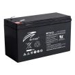 Аккумуляторная батарея Ritar RT1213(12V1.3AH)
