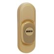 Защитная дверная броненакладка ROSTEX DECOR R3 титан матовый