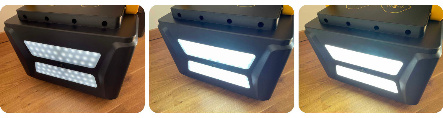 AlphaESS BlackBee 1000